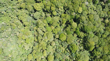 Toneladas de CO2e